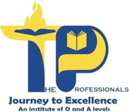 The Professionals Institute